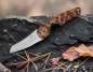 Vorschaubild: Les Fines Lames Le Petit Snakewood Waldszene