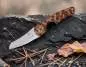 Vorschaubild: Les Fines Lames Le Petit Snakewood Waldszene