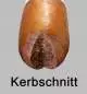 Vorschaubild: Kerbschnitt bei Zigarren
