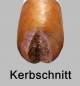 Vorschaubild: Kerbschnitt bei Zigarren