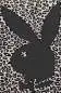 Vorschaubild: Zippo 60007908 Black Matte Playboy Bunny mit Leopardenmuster Frontausschnitt