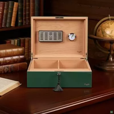 Produktbild: Humidor Caseti Paris grün in einer Bibliothek