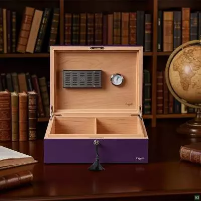 Produktbild: Humidor Caseti Paris lila in einer Bibliothek