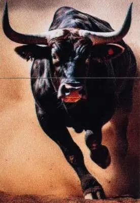 Produktbild: Zippo 60007820 Bull Stierlauf Brushed Brass Color Image Frontausschnitt
