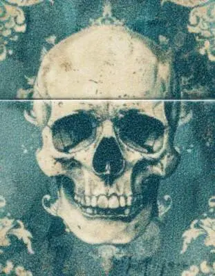 Produktbild: Zippo 60007834 Spooky Skulls 540 Color 540 Matte Frontausschnitt