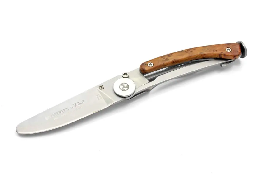 Produktbild: Rattray's Explorer Thuya - Seitenansicht