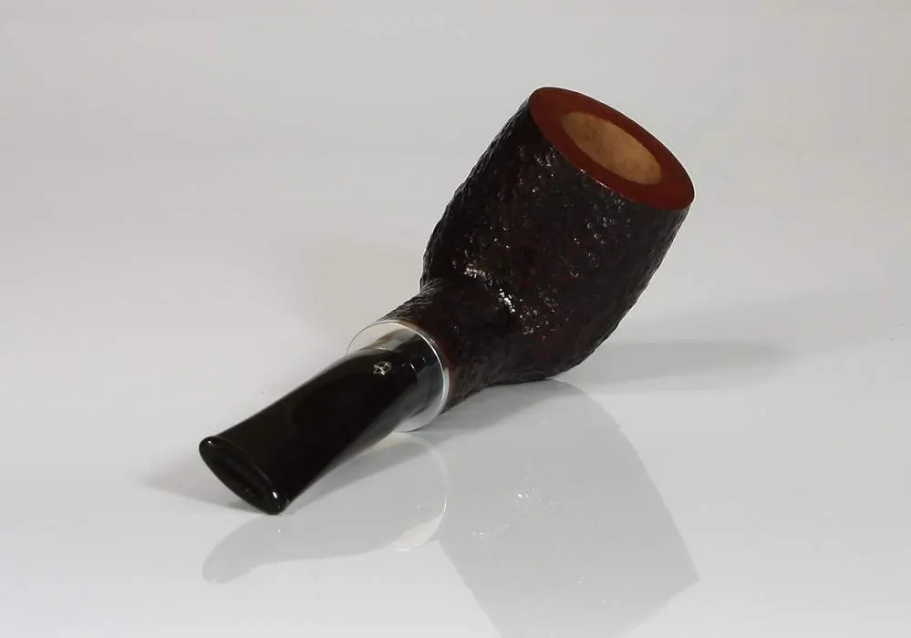 Produktbild: Savinelli Ermes Rustic 101 Straight Billiard - Rückansicht