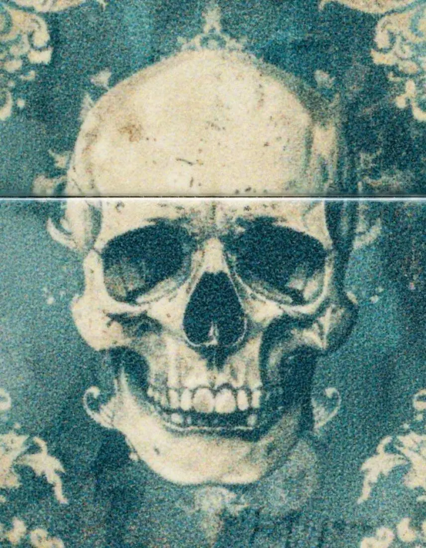 Produktbild: Zippo 60007834 Spooky Skulls 540 Color 540 Matte Frontausschnitt