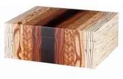 Produktbild Angelo Humidor Birkenholz-Optik gross